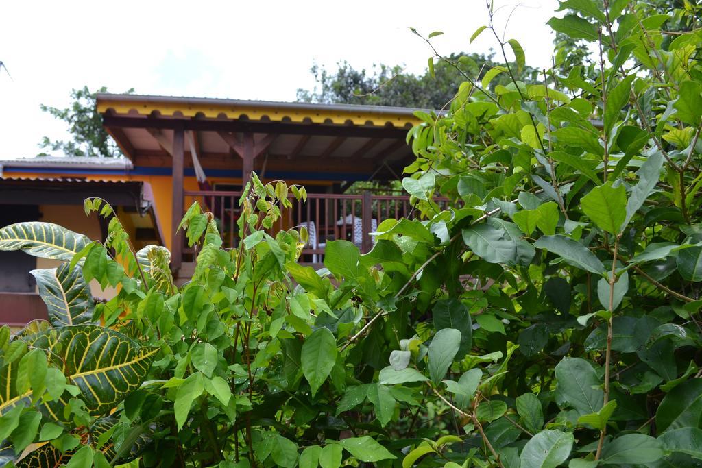 L'Ecomusee Creole De La Guadeloupe Sainte-Rose Exterior photo